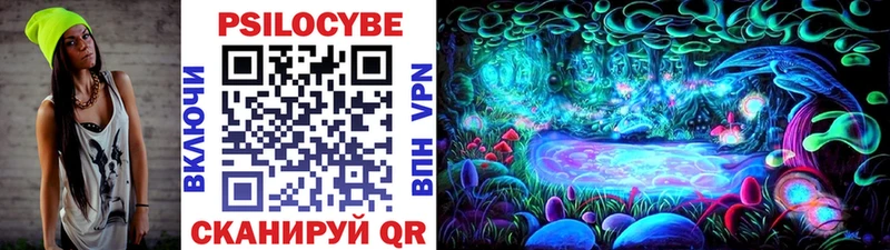 Псилоцибиновые грибы Psilocybe Ржев